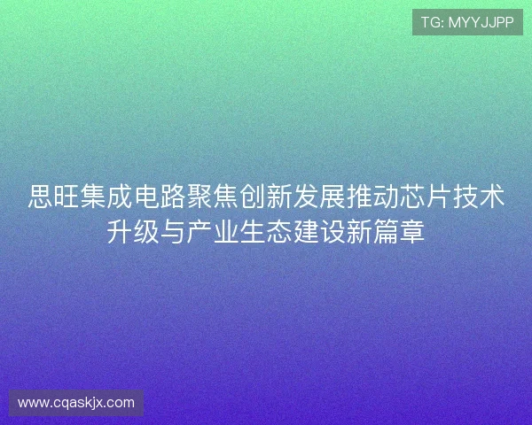 思旺集成电路聚焦创新发展推动芯片技术升级与产业生态建设新篇章